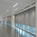 /album/resim-galerisi/a10174831-1416984148569934-7669066449543898882-n-jpg/